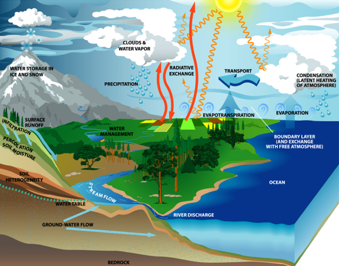 Le cycle de l'eau